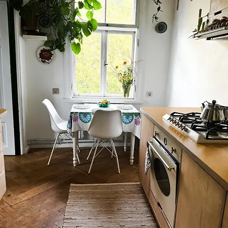 Cozy In * تالين