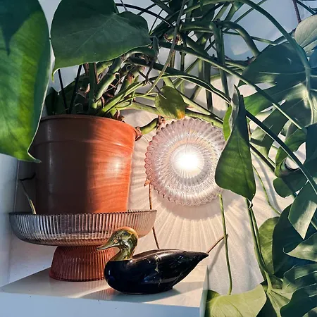 Cozy In * تالين