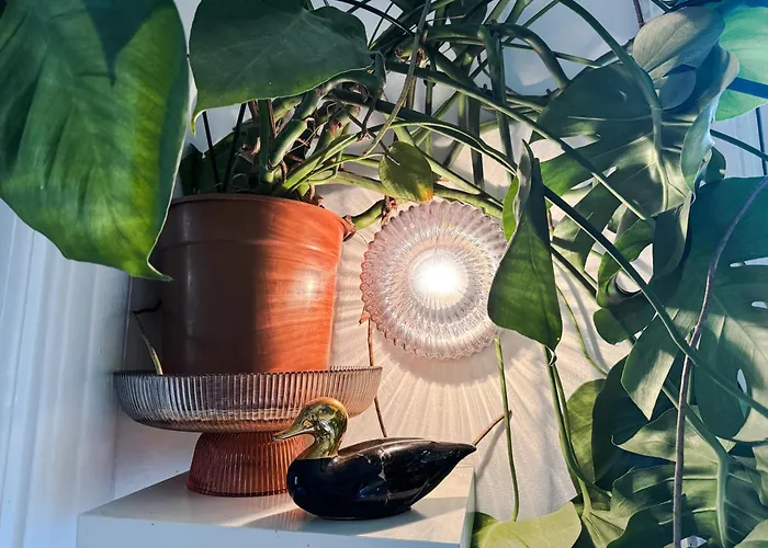 Cozy In * تالين