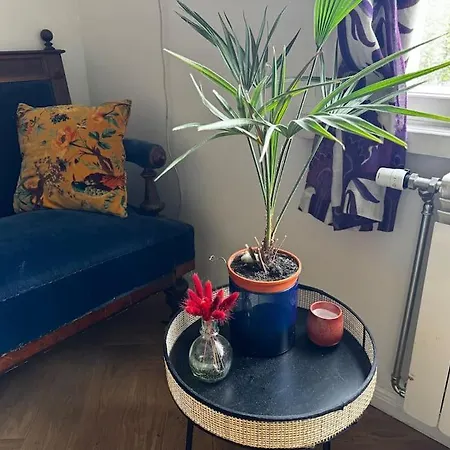 Διαμέρισμα Cozy In *